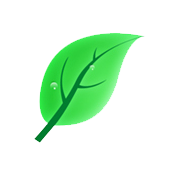 ikona zelený lístok zo stromu